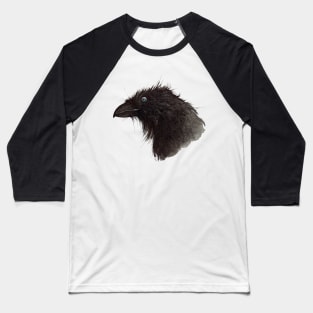 raven - raven bird - crow - bird - jackdaw Baseball T-Shirt